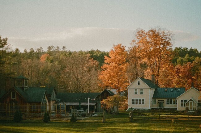 Building Photo - 872 Grassy Brook Rd