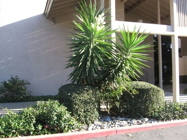 Building Photo - BEAUTIFUL 1 BEDROOM X1 BATHROOM CONDO!!! NOW LEASING!!!