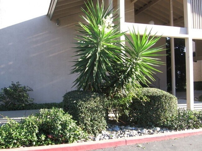 Building Photo - BEAUTIFUL 1 BEDROOM X1 BATHROOM CONDO with NEW HARDWOOD FLOORS! NOW LEASING!!