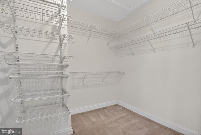 Building Photo - 1169 Regal Oak Dr