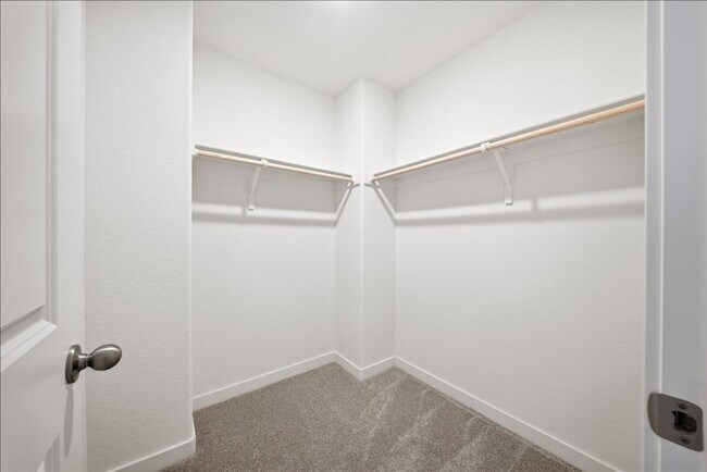 Building Photo - 2416 Interstellar Ln