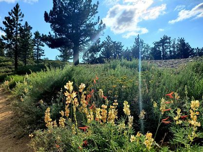 Building Photo - 15000 Geneva Ct