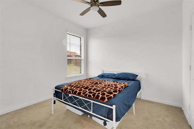 Building Photo - 1828 Roadrunner Dr