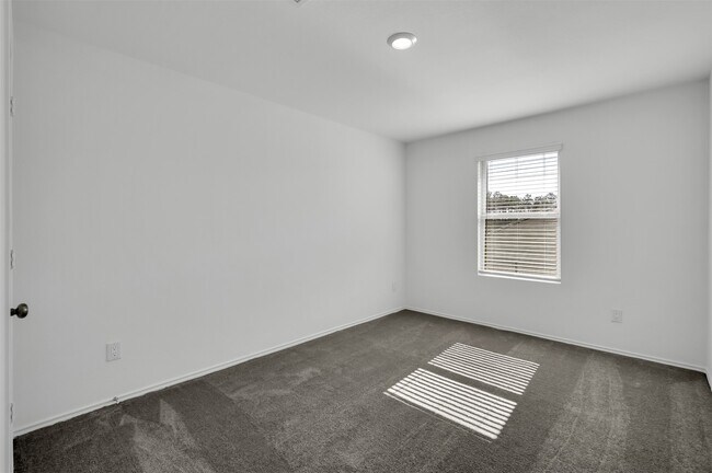 Building Photo - 3647 Solanum Dr