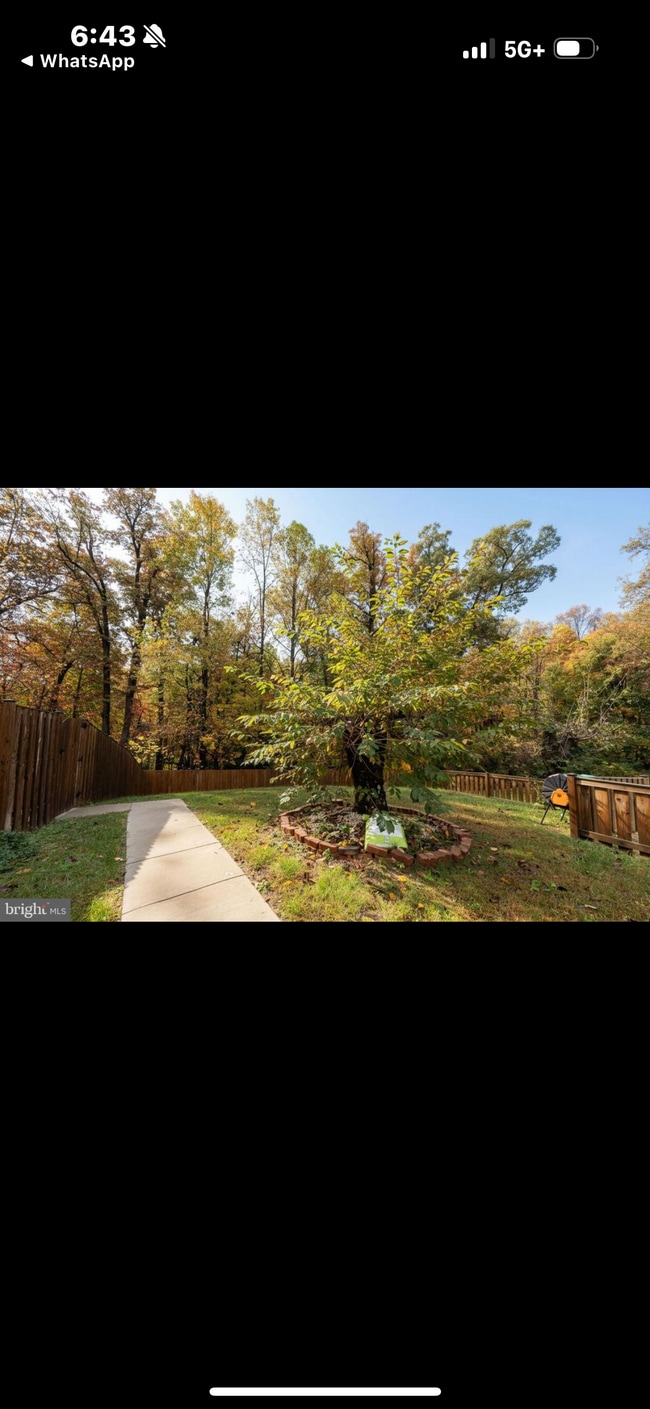 Building Photo - 3707 Green Ash Ct