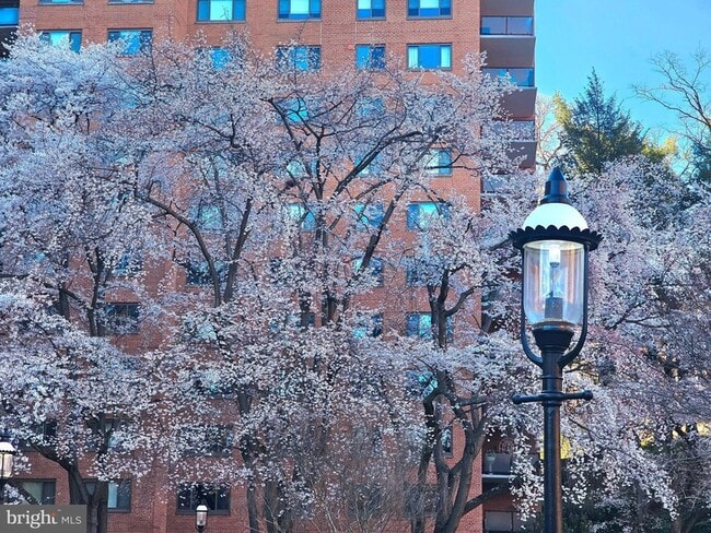 Building Photo - 4201 Cathedral Ave NW