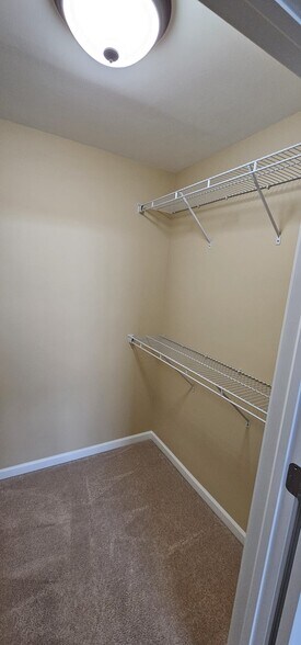 Building Photo - 5113 Minuteman Ln