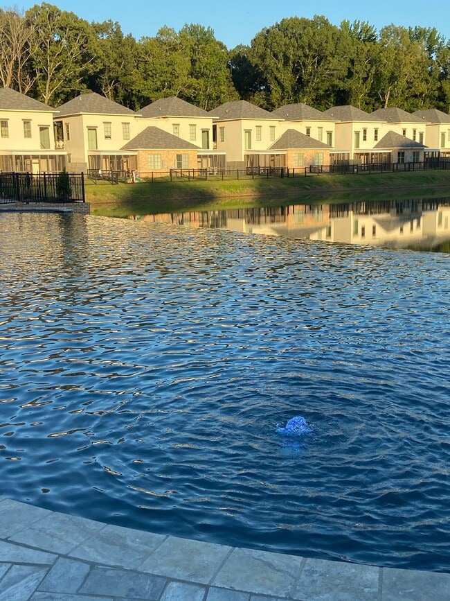 Wellington Place Oxford, MS Apartment Finder