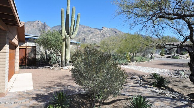 Building Photo - 6515 N Burro Creek Pl