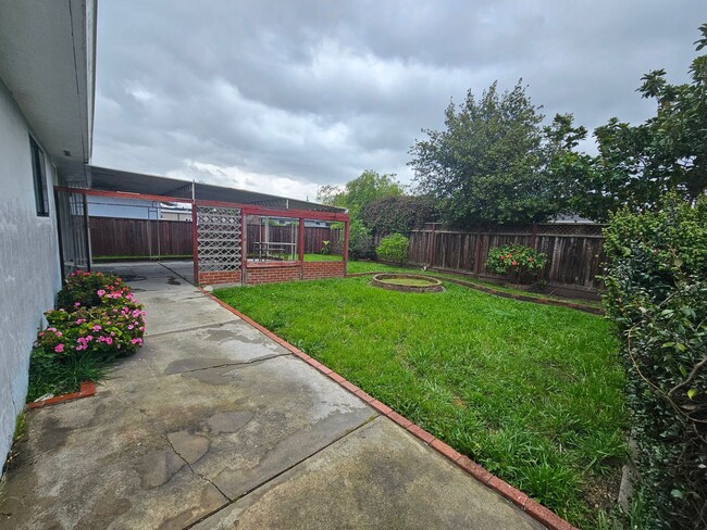 Building Photo - Freshly Updated 3 Bedroom House Looking fo...