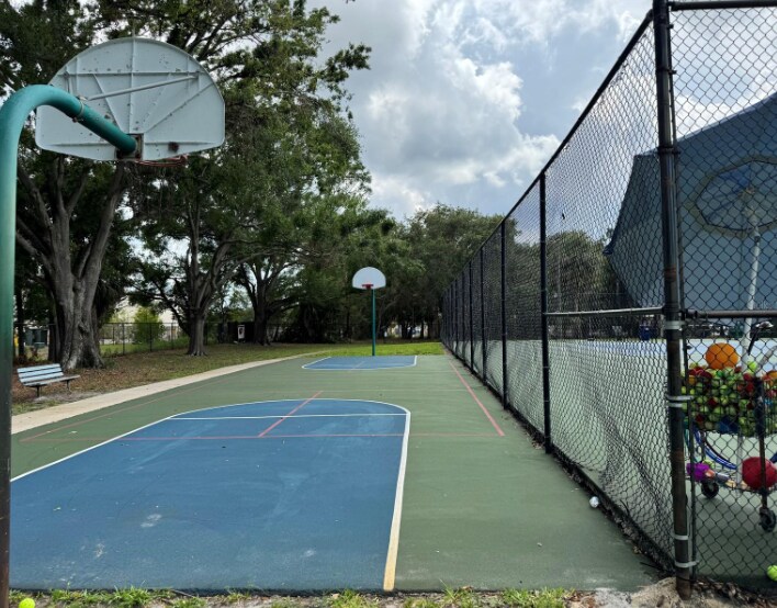 basketball court - 4201 La Dega Ct