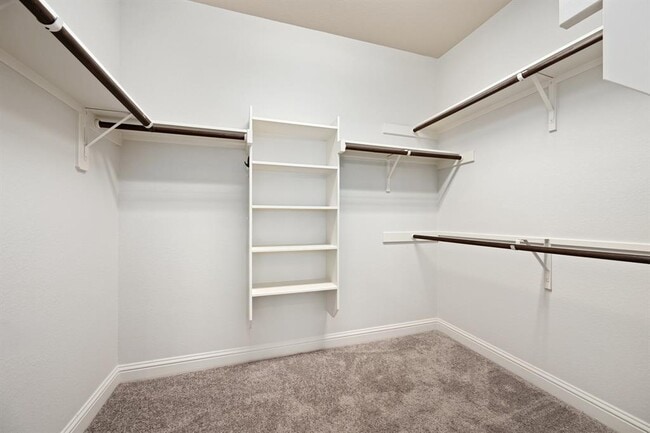Building Photo - 8620 Alophia Dr