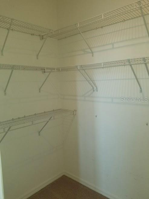 Building Photo - 3828 Virga Blvd