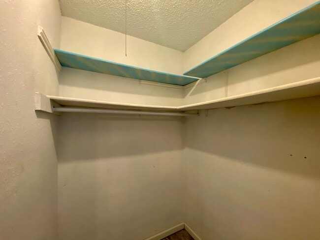 Building Photo - Gorgeous 3 bed 2 bath Single Story Home in Austin!!!