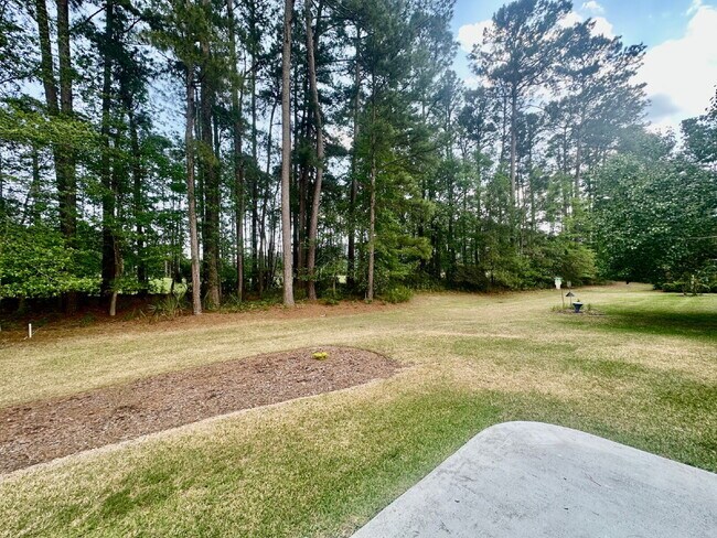 Building Photo - Spacious Open Floor Plan Home in Sun City!