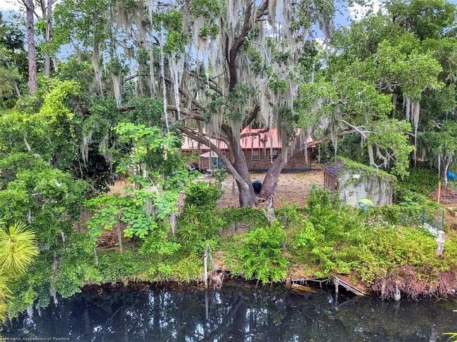 Backyard - 1606 Churchill St