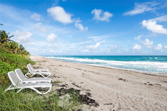 Building Photo - 1069 Hillsboro Mile