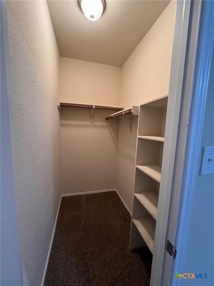 Building Photo - 2520 Dante Ct