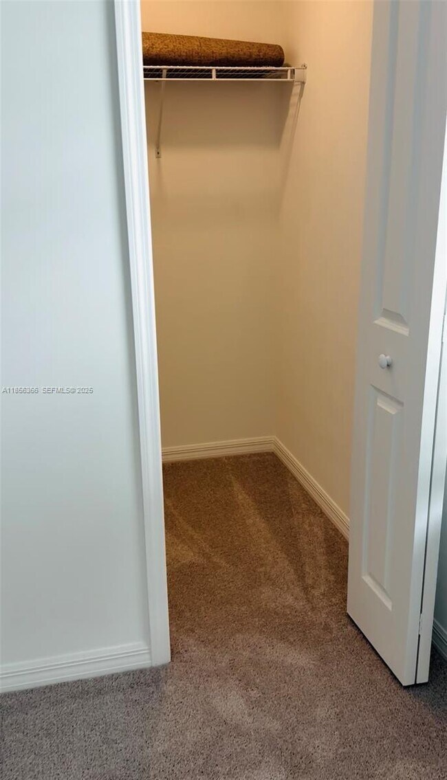 Building Photo - 4228 Caterina Ct