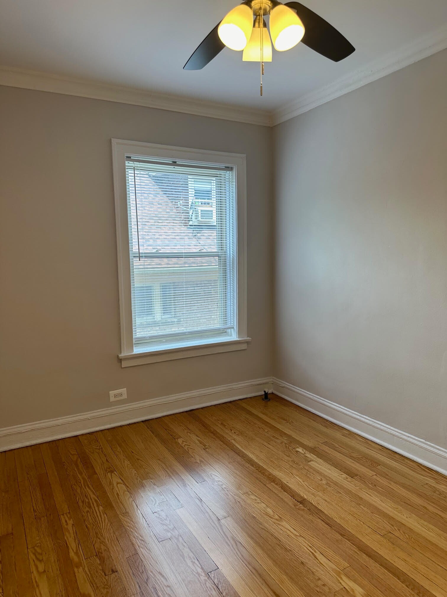 Building Photo - 1637 W Estes Ave