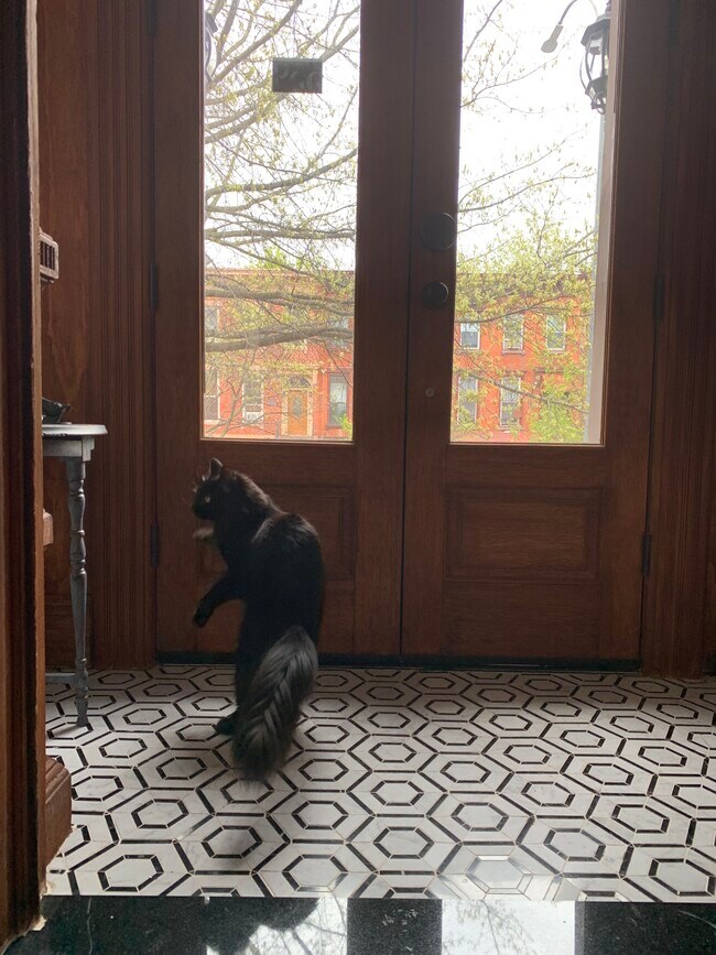 Building Photo - 559 Monroe St