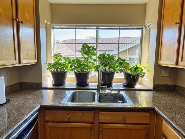 Building Photo - Beautiful and Bright 2-Bedroom Condo