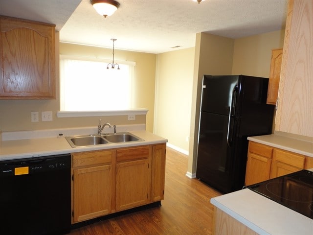 Building Photo - 10619 Northern Dancer Dr