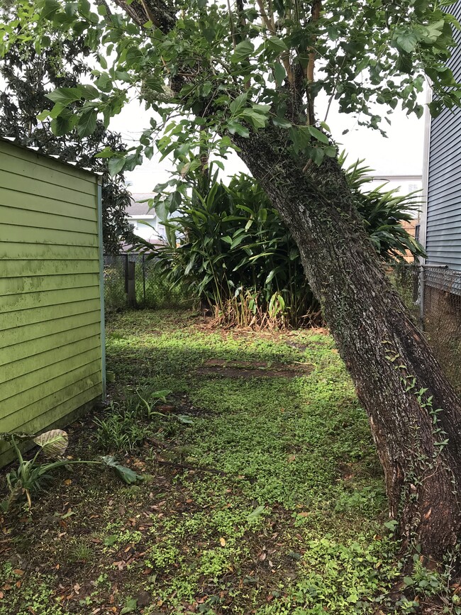 Fenced in back yard. - 2214 Valence St