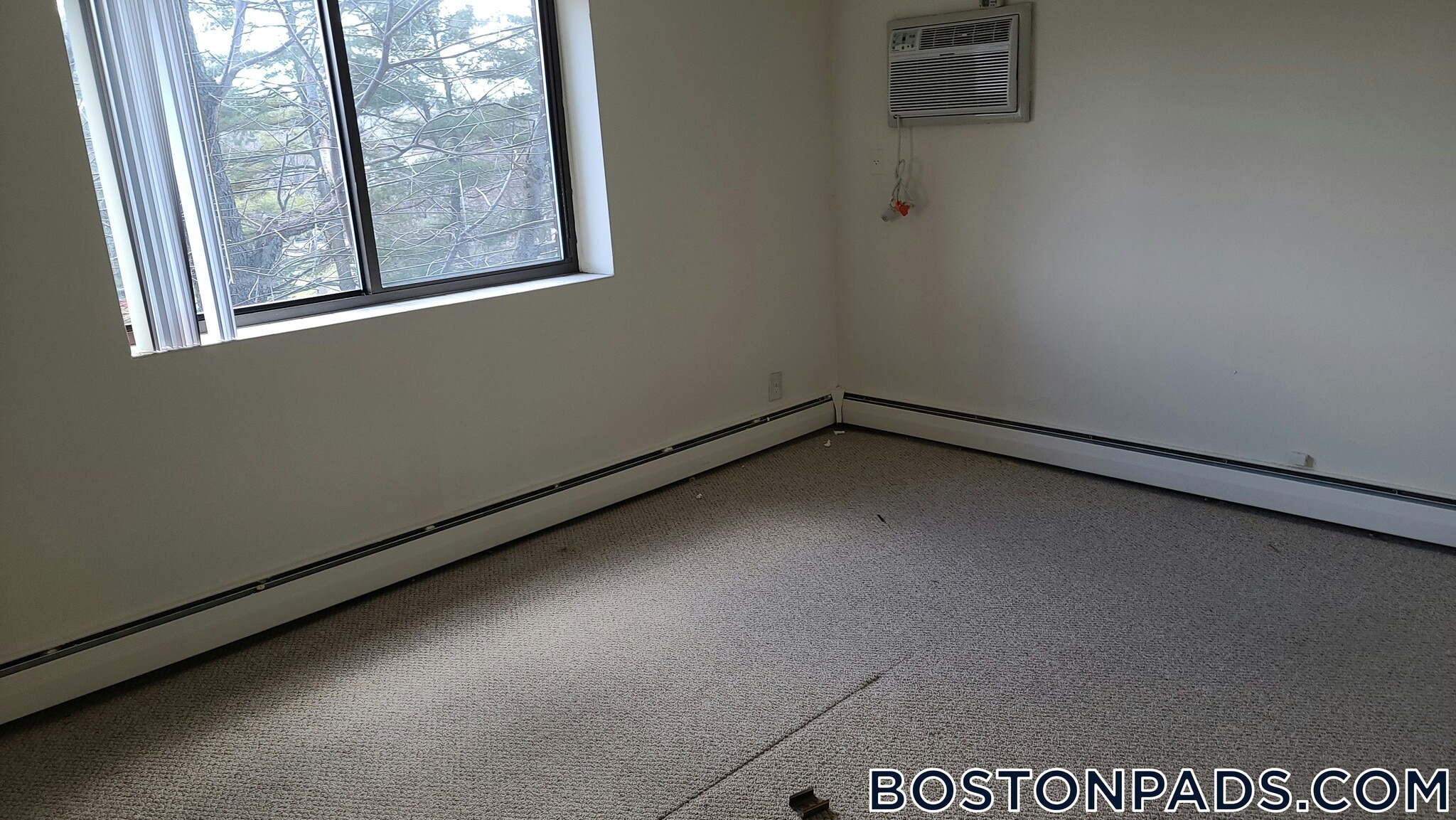 Building Photo - 24 Whites Ave