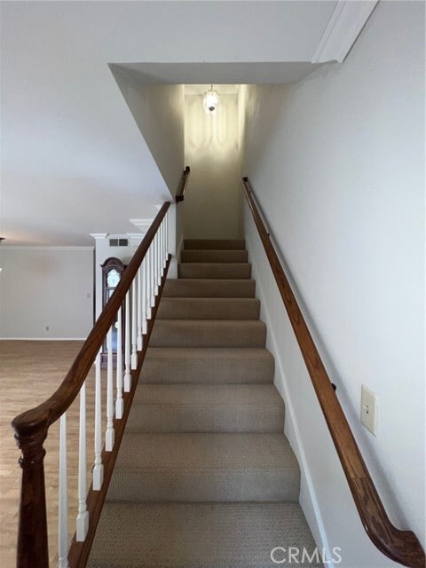 Building Photo - 1547 Dalmatia Dr