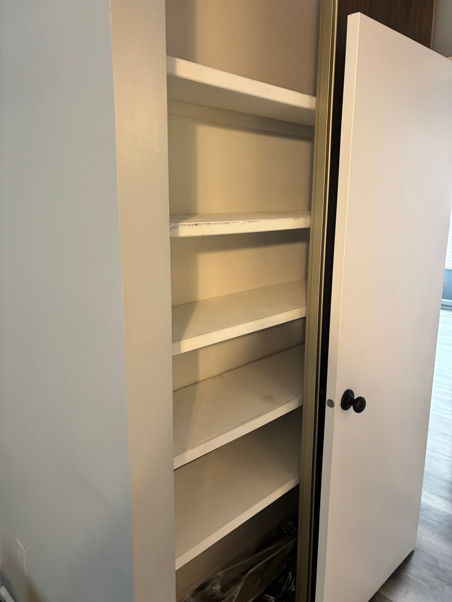 Addional hallway storage - 825 Dumont Pl