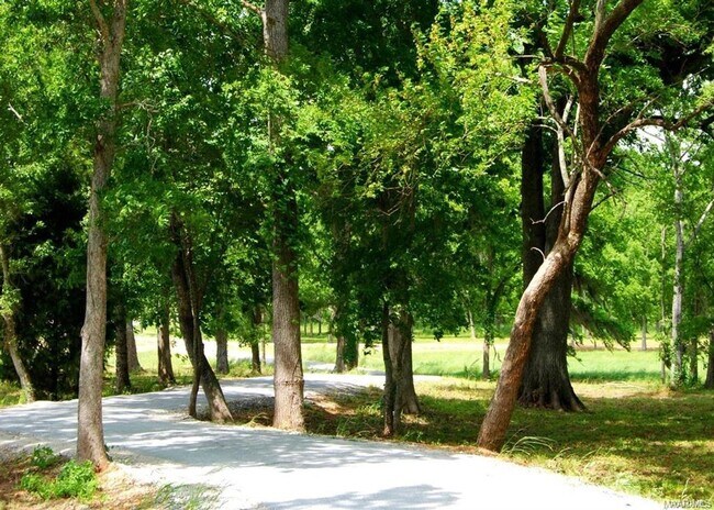 Building Photo - 3900 Turning Leaf Loop