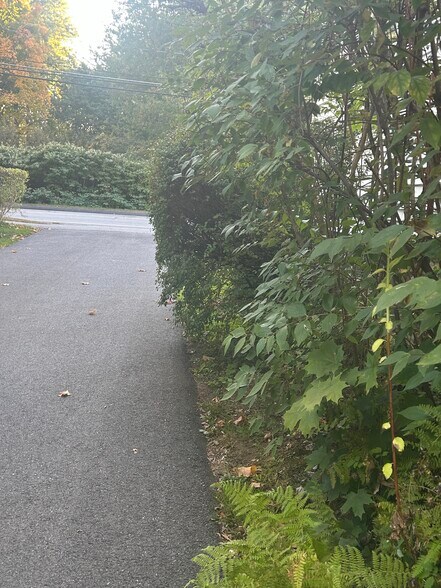 Building Photo - 30 Goldsmith St