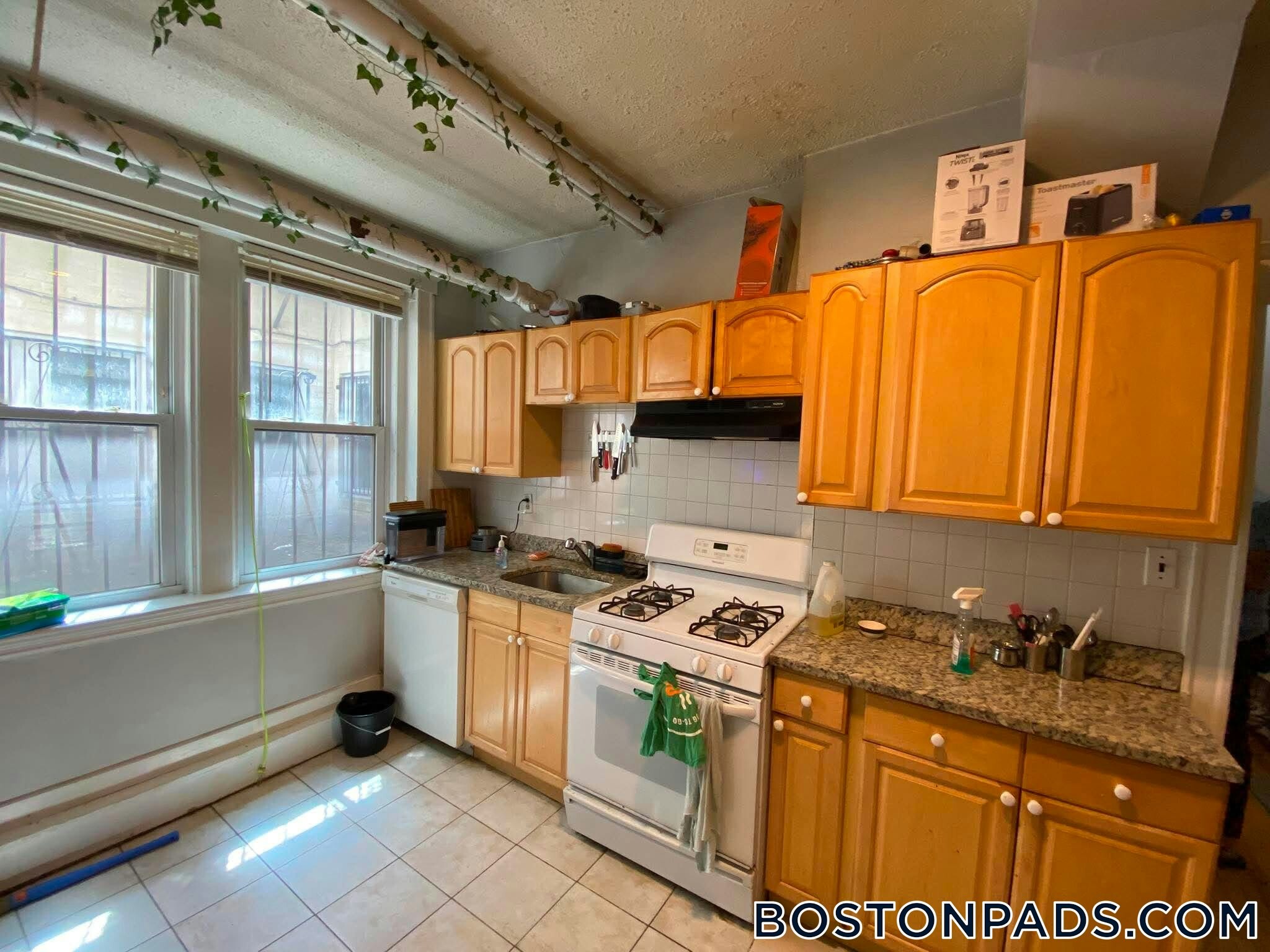 Building Photo - 238 S Huntington Ave