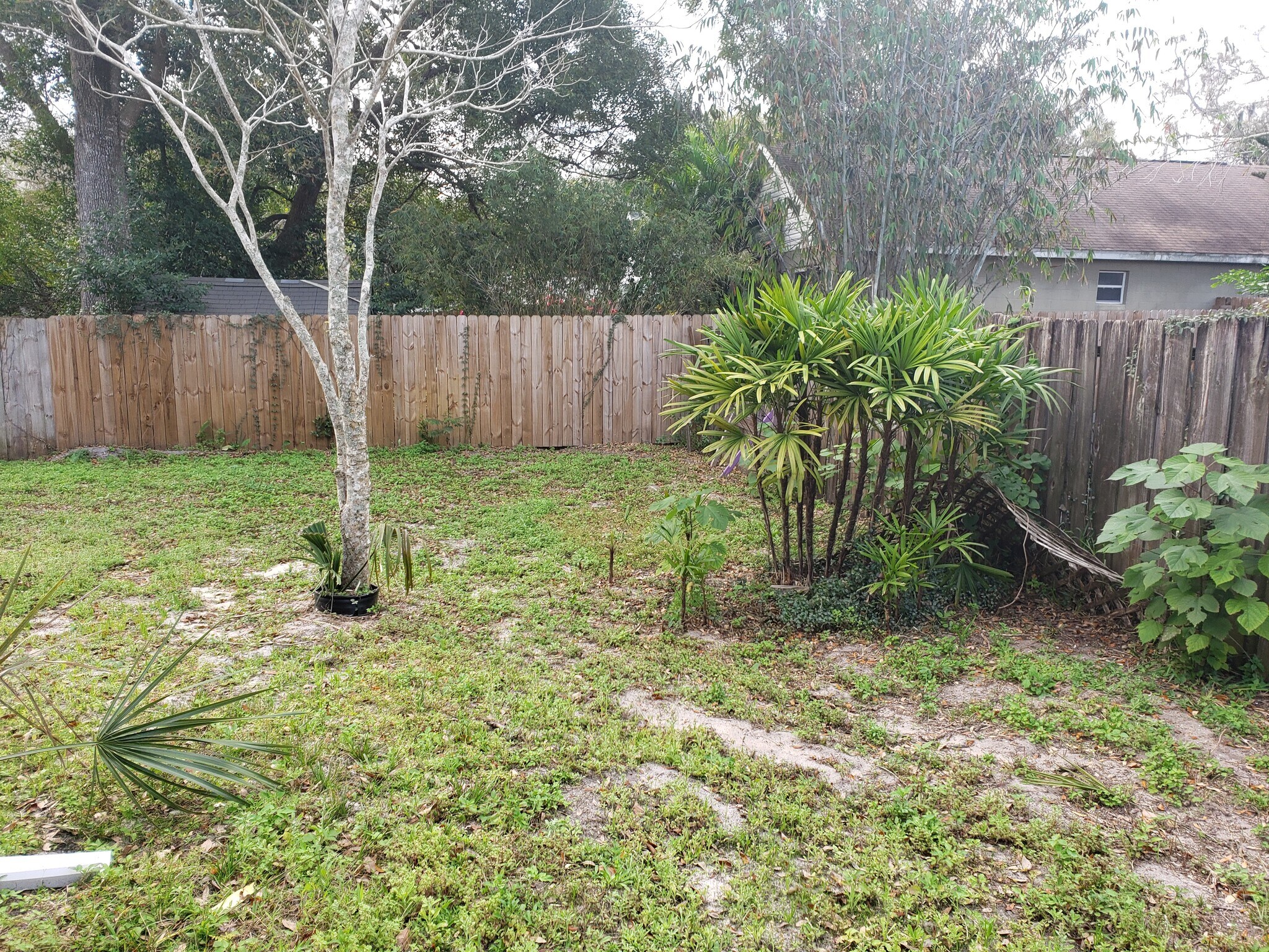 Backyard - 2306 S Bumby Ave