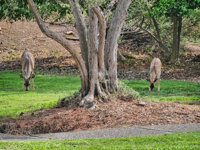 Building Photo - 938 Lea Dr