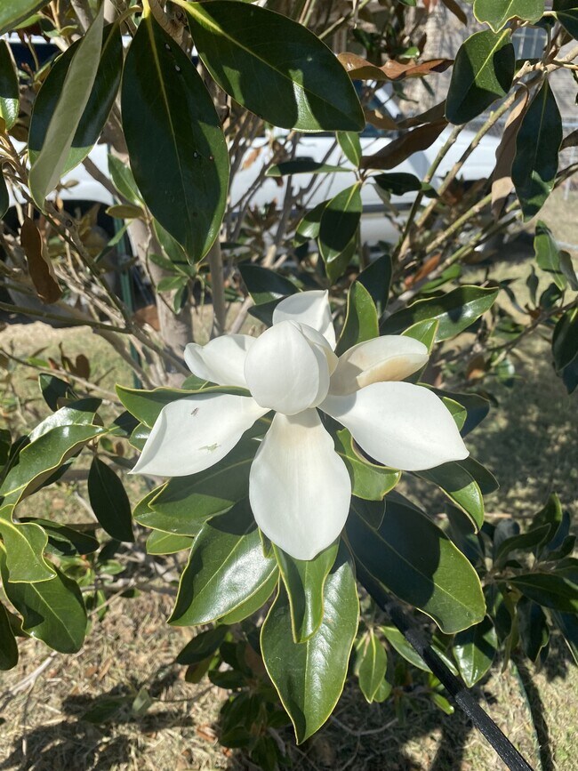 Building Photo - 2609 Herring Ave