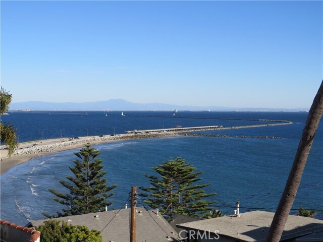 Building Photo - 3935 Bluff Pl