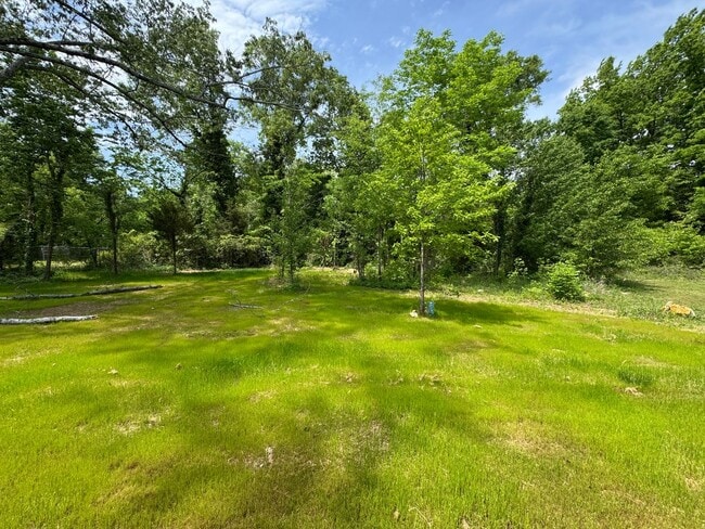 Building Photo - Brand New 3/2 House in Rome- $1,595