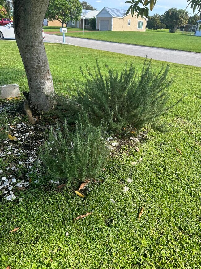 Building Photo - 1592 SE Burning Ct