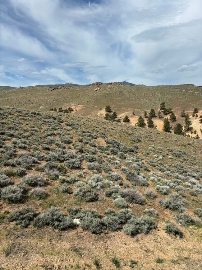 Building Photo - 2 bed - 2.5 bath - 2 car garage Townhome