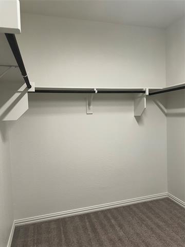 Building Photo - 3804 Honeycomb Holw
