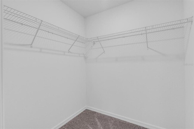 Building Photo - 2829 Moonshadow Ct