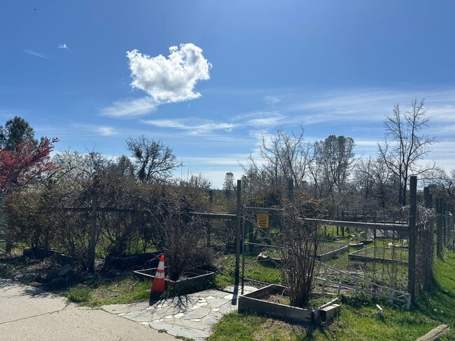 Building Photo - Gorgeous Multilevel 4 Bedroom 2.5 Bathroom Home on Acreage