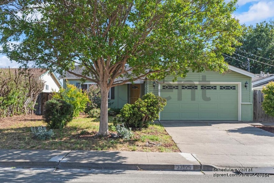 Primary Photo - 33125 Basswood Ave