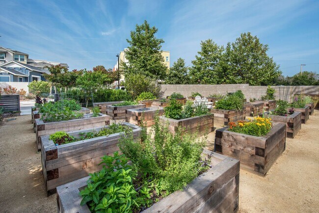 Building Photo - Winslow Complex Gem