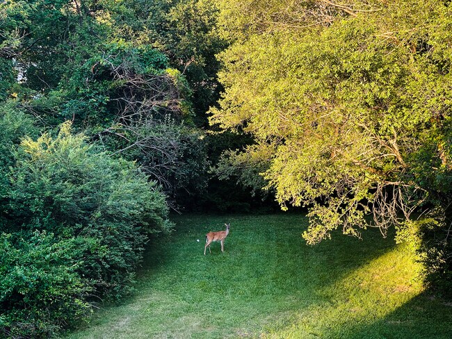 Building Photo - 1011 Forest Park Blvd NW