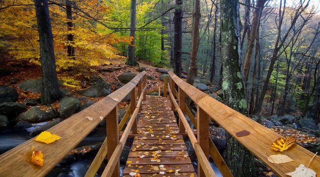 Building Photo - 2A Cherry Ln