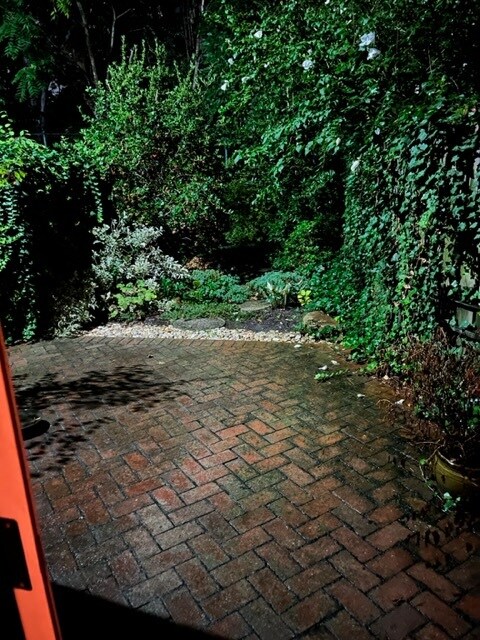 patio - 2500 Q St NW
