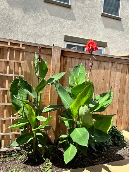 Building Photo - 8836 Sheldon Terrace Ln